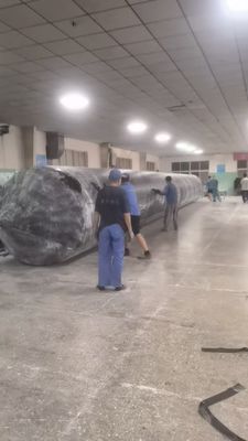 내구성 있는 선박 발사 에어백 1m 30m 해상선 발사 작업용 길이